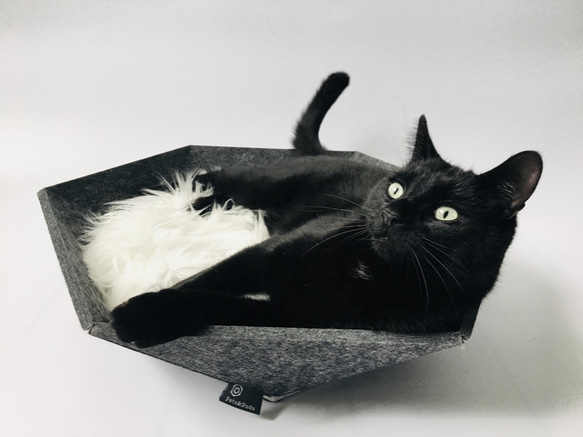 即納｜Atomo（濃灰色）選べるクッション 犬と猫のベッド 3枚目の画像