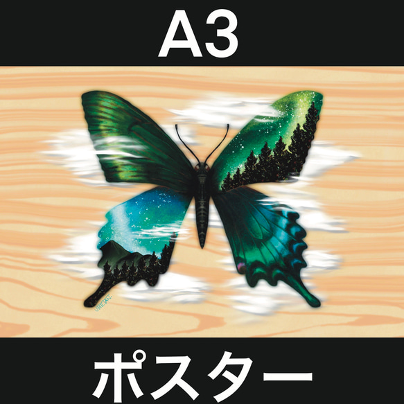 A3ポスター【ミヤマカラスアゲハ】／1枚 2枚目の画像