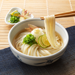 【つゆ付手提げ袋】本場讃岐うどん　2人前５袋　10食分　さぬきうどん 半生うどん うどん  ギフト お中元 1枚目の画像