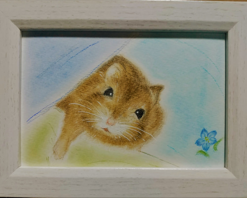 67963ab8e6bc3ac3c53827e230fa46