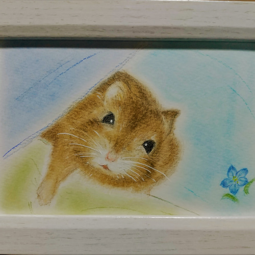 パステル 原画】 ハムスター 絵画 nao 通販 16041985｜Creema