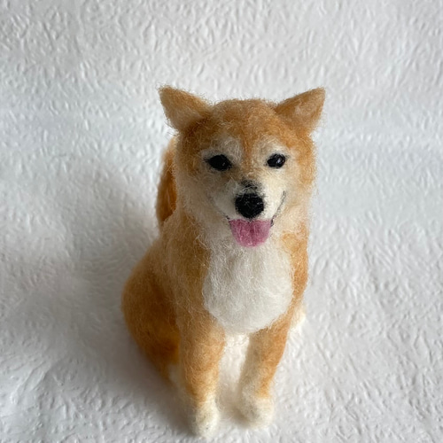 めりい様 オーダー品 羊毛フェルト ぬいぐるみ 愛犬 うちの子 人形 