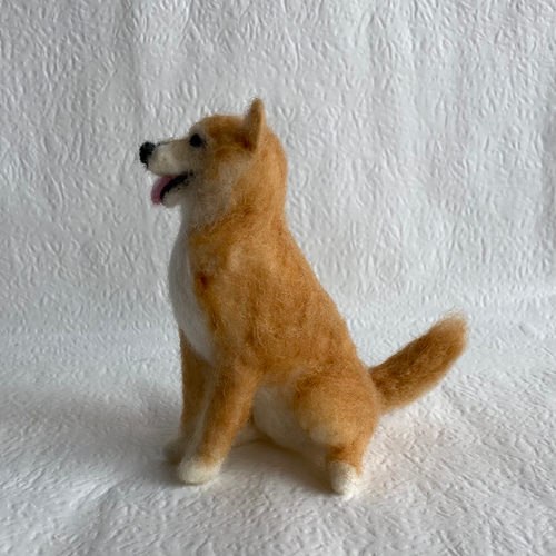 めりい様 オーダー品 羊毛フェルト ぬいぐるみ 愛犬 うちの子 人形 