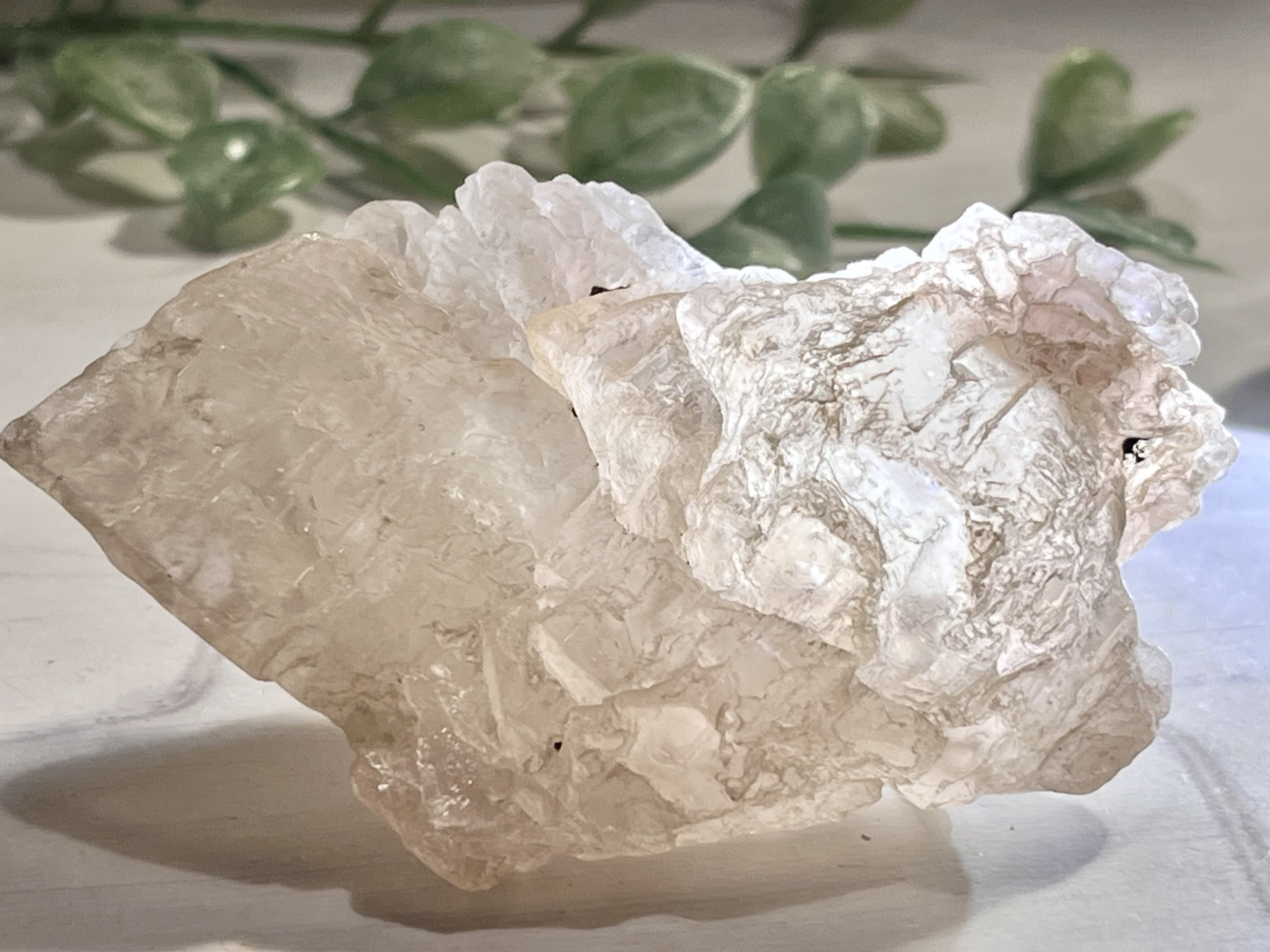 2022人気特価 ローズクォーツ 天使のギフト❦͙ スモーキー 骸骨水晶