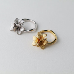 星の花カランコエのリング シルバー/ゴールド Silver925 ◇ リング