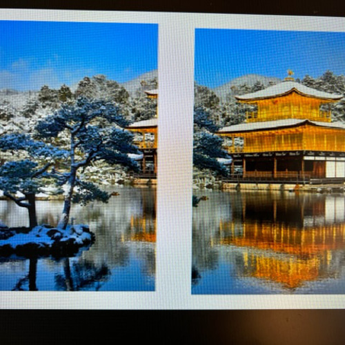 Amazon | 金閣寺 御朱印帳 御朱印無し カバー付き | 朱印帳・集