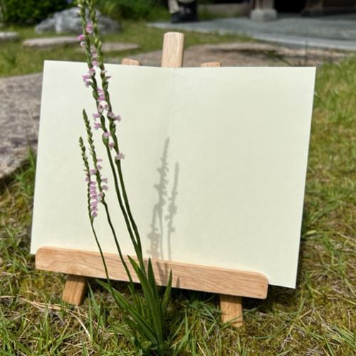 御朱印帳／整理品♡笠間稲荷／丸川稲荷／三峯／15体（見開き含む23面分）満願♡ Amazon.co.jp: 御朱印帳 整理品 笠間稲荷 丸川稲荷 三峯 15体