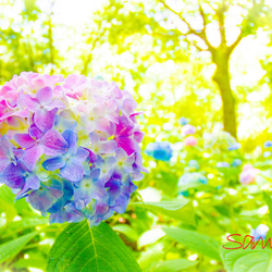 746bacdafe73d79b067f347bda33a5