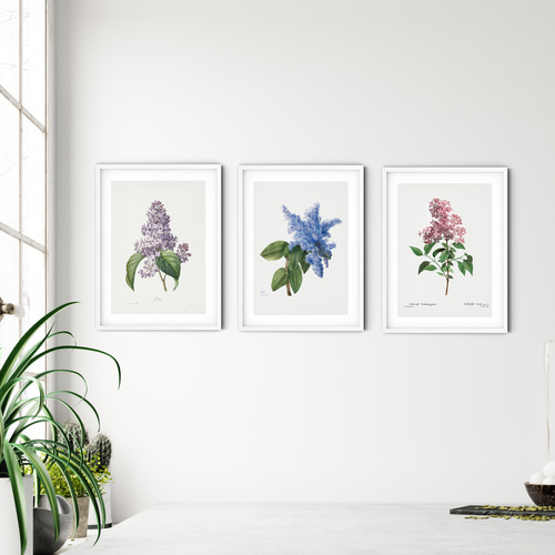 青のライラック アンティーク ボタニカルフラワー 】インテリア