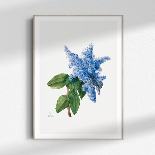 青のライラック アンティーク ボタニカルフラワー 】インテリア