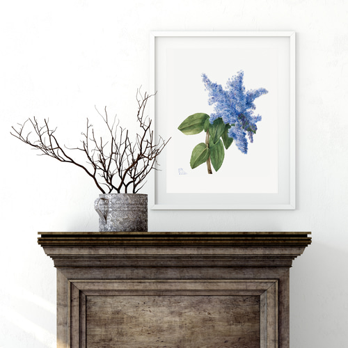 青のライラック アンティーク ボタニカルフラワー 】インテリア