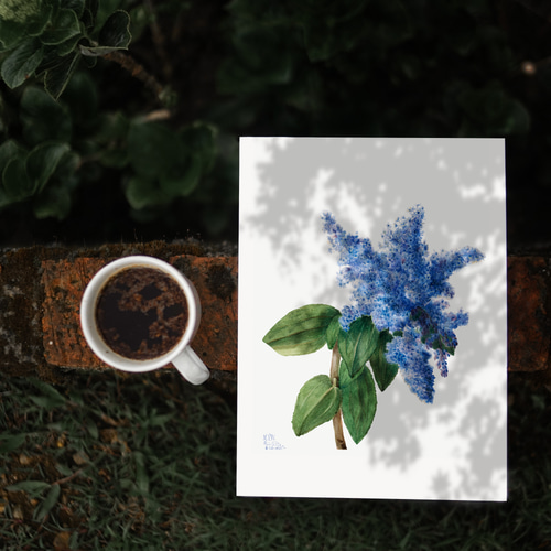 青のライラック アンティーク ボタニカルフラワー 】インテリア