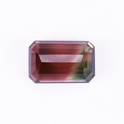 トルマリン    バイカラー　2.68ct (395136) 4枚目の画像