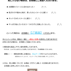 巴基斯坦地毯歷史手工編織地毯 Eslim 圖案軟 W 結 37x125 公分迷你地毯 第14張的照片