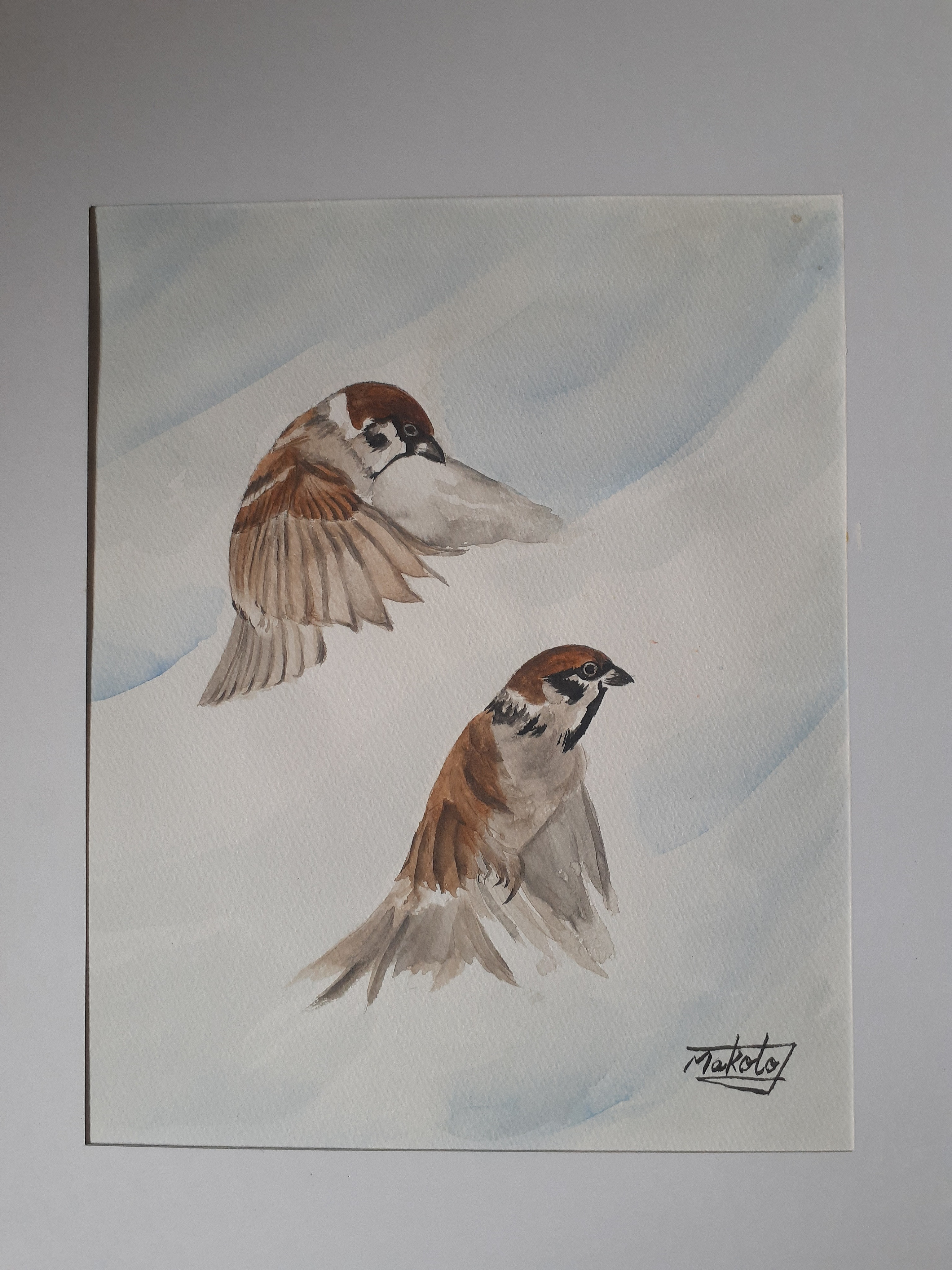 水彩画　透明水彩　スズメと桜　雀　絵画　春の絵　春の鳥　マーメイド紙　アート