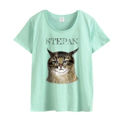 キジトラねこ　ウクライナ　ステパン　ふんわりやわらか　薄手　Tシャツ　ユニセックス　猫　メンズ　レディース　パステル 5枚目の画像