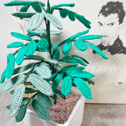 かぎ針編みの植物　ベンジャミングリーン 4枚目の画像