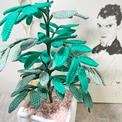 かぎ針編みの植物　ベンジャミングリーン 6枚目の画像
