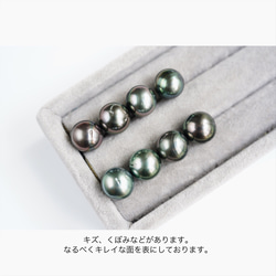 10mm〜 タヒチ 黒真珠 大粒 セミラウンド ピアス イヤリング  【823】 5枚目の画像