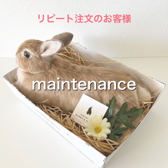 リピート注文のお客様】メンテナンス 羊毛フェルト うさぎ 人形 リピート注文のお客様】メンテナンス 羊毛フェルト うさぎ 人形