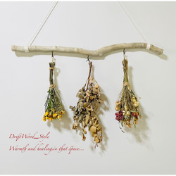 流木インテリア コブ付きのシンプルな天然流木のハンガーフック 流木ハンガー ハンギング ウォールデコ 北欧 No.205 1枚目の画像