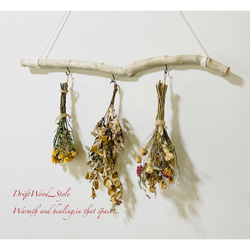 流木インテリア コブ付きのシンプルな天然流木のハンガーフック 流木ハンガー ハンギング ウォールデコ 北欧 No.205 3枚目の画像