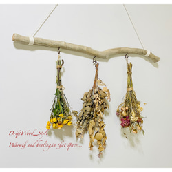 流木インテリア コブ付きのシンプルな天然流木のハンガーフック 流木ハンガー ハンギング ウォールデコ 北欧 No.205 2枚目の画像