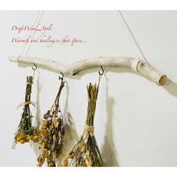 流木インテリア コブ付きのシンプルな天然流木のハンガーフック 流木ハンガー ハンギング ウォールデコ 北欧 No.205 4枚目の画像