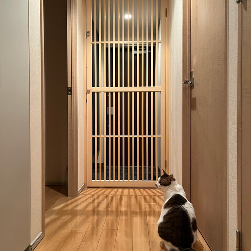 猫の脱走防止ドア ハイクオリティ無垢材✨インテリア性抜群❗️ 猫の脱走防止ドア ハイクオリティ無垢材✨インテリア性抜群❗️ ペット
