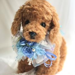 犬チョーカー バレンタイン 写真撮影 トリミング 首飾り 犬猫