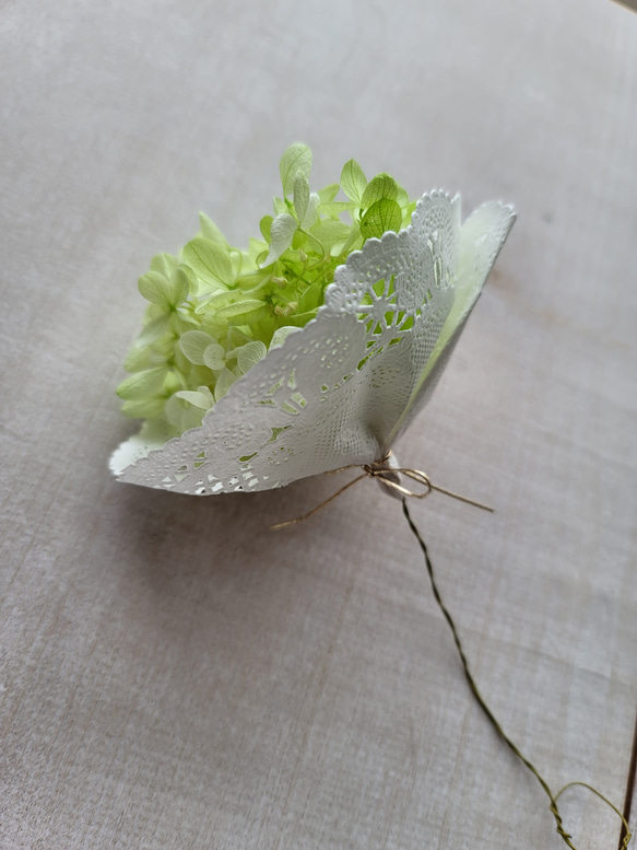 　再販♡４新色　ミニ紫陽花守り　グリーンホワイト　プリザーブドフラワー　紫陽花守り　ちょっとしたプレゼント 2枚目の画像