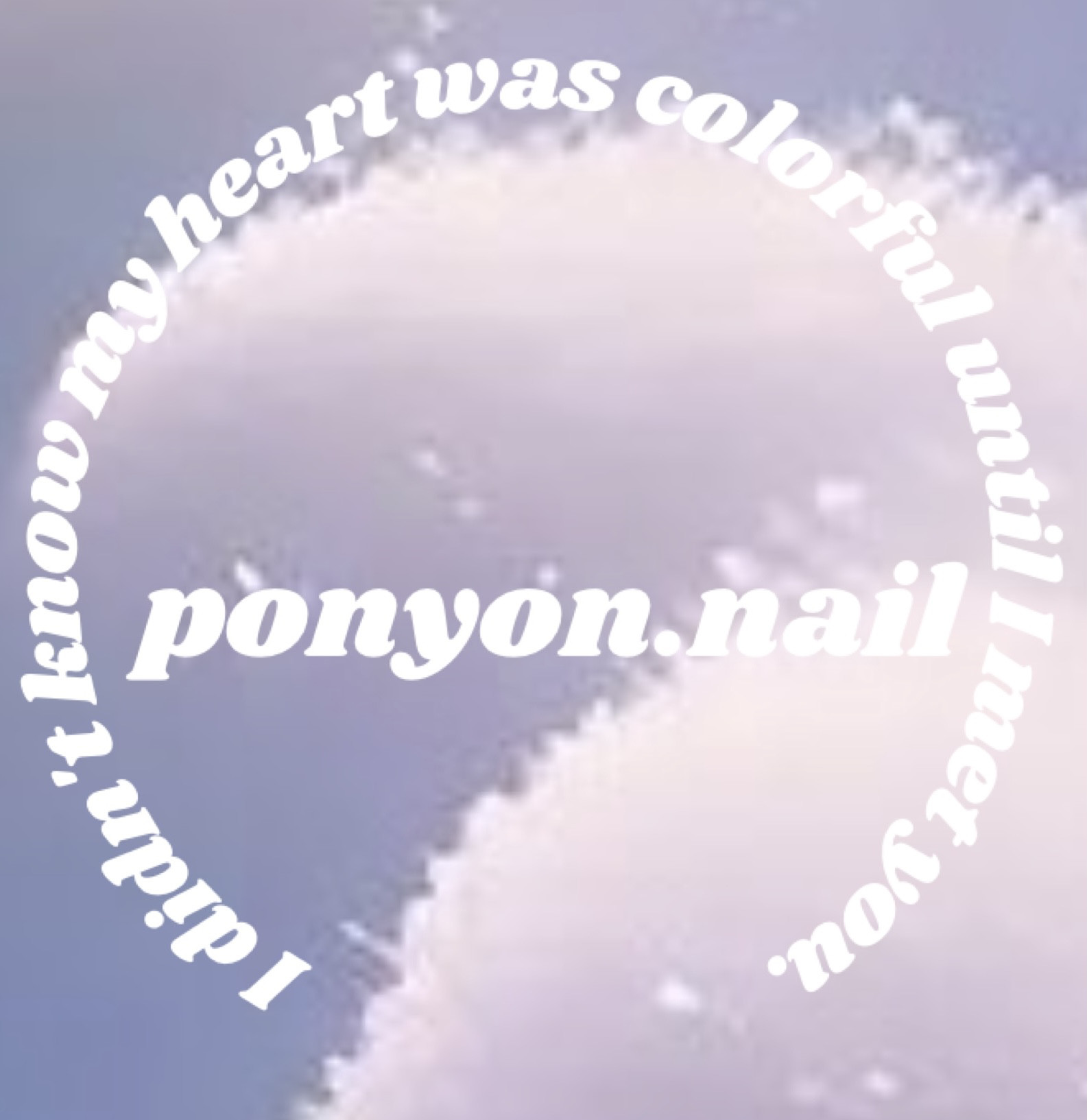 ご購入いただく前に&チップの種類サイズ確認