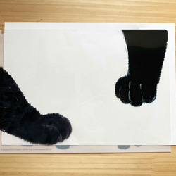 クロニャンコ：猫のクリアファイル：A4サイズ 2枚目の画像