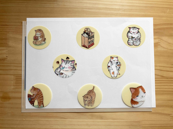 図書館：猫のクリアファイル：A4サイズ 3枚目の画像