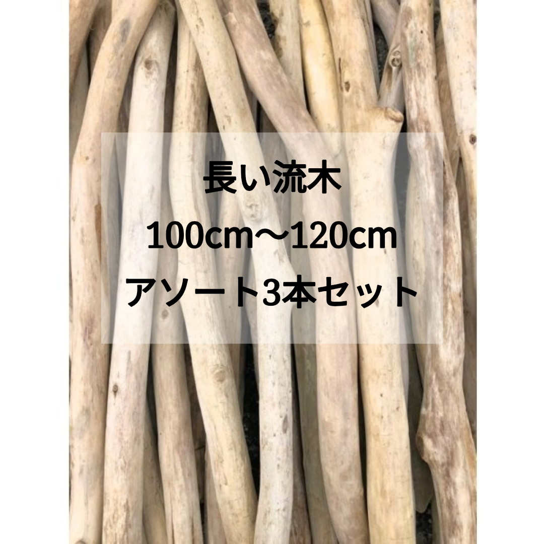 送料無料●（１００cm〜１２０cm前後）南信州産 枝幹 長い流木 天然流木 格安アソート ３本セット 流木インテリア