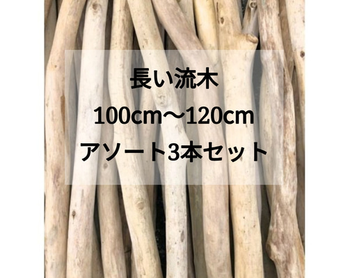送料無料○（100cm〜120cm前後）南信州産 枝幹 長い流木 天然