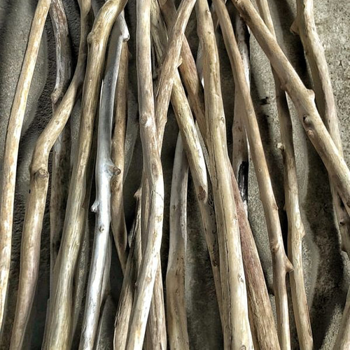 送料無料】流木 長さ100センチメートル 【公式通販】