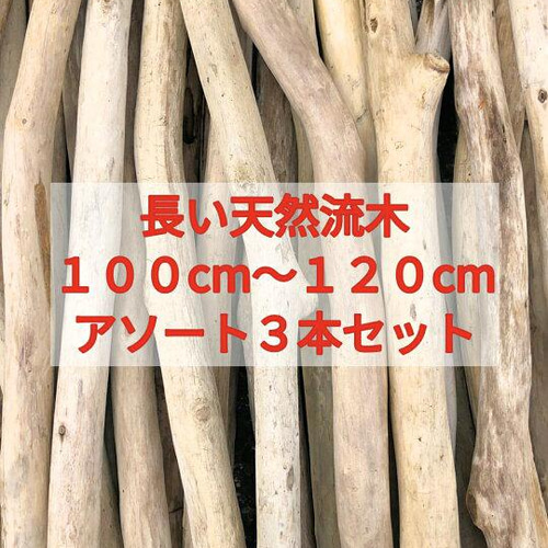 送料無料】流木長さ100センチメートル
