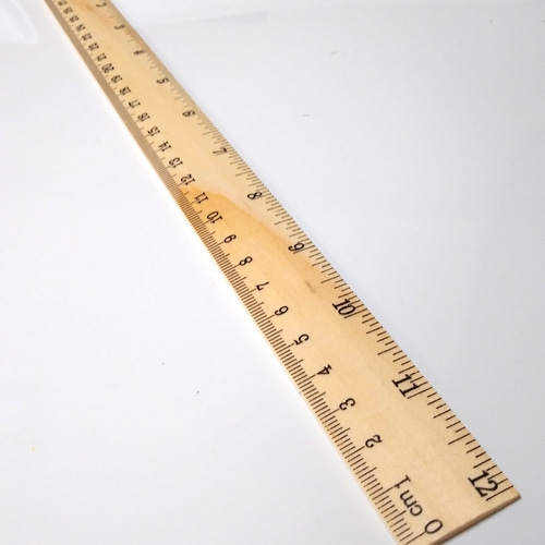 インチ ものさし 12inch inch 定規 物差し 採寸 スケール 道具