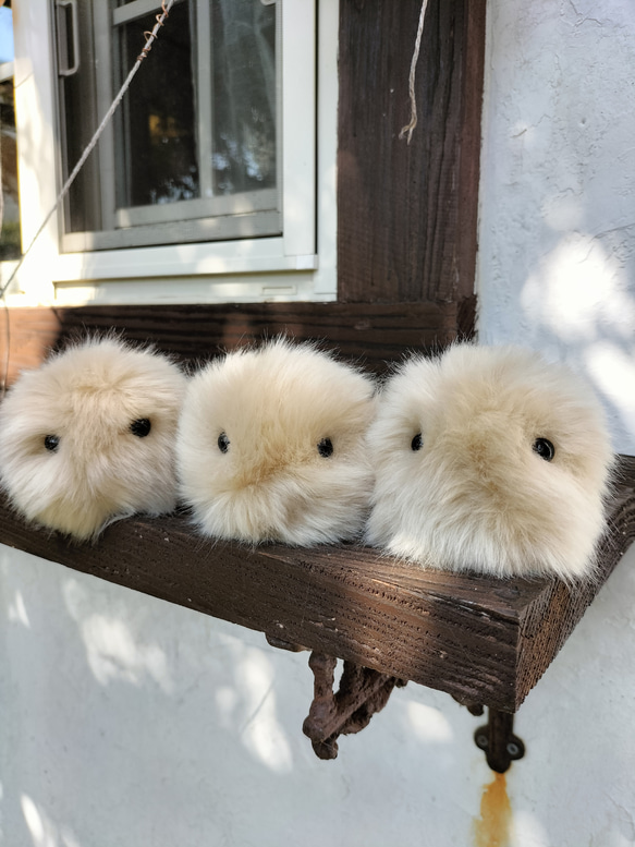 手のひらに、生きてるみたいな命の重み・ふさふさパトラン玉⑩/10.5