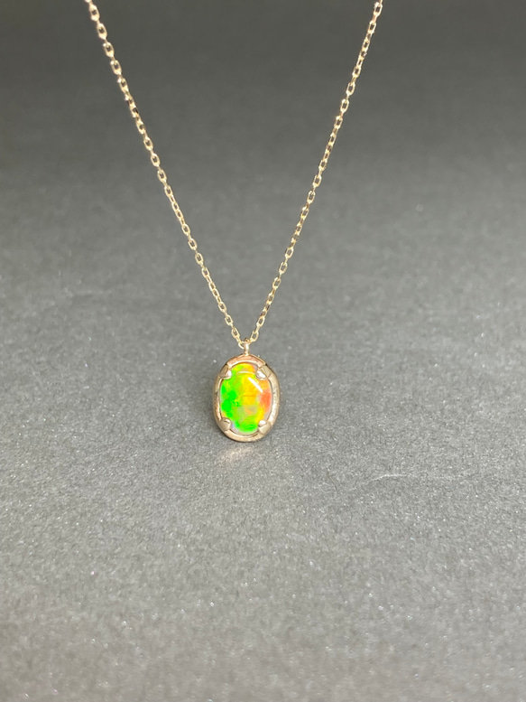 まるで美しい羽をもつ玉虫の色彩のような、素晴らしいフラッシュ