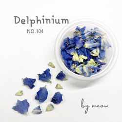 Delphinium 　No.104   デルフィニウム　濃青　青　あお　ブルー　ドライフラワー 1枚目の画像