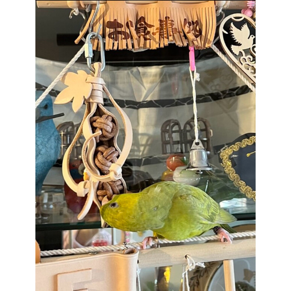 送料無料【ヨウムサイズの鳥さん向け】 本革❤️ ガシガシ系鳥インコのおもちゃ【かわ豆】 leather bird toy 14枚目の画像