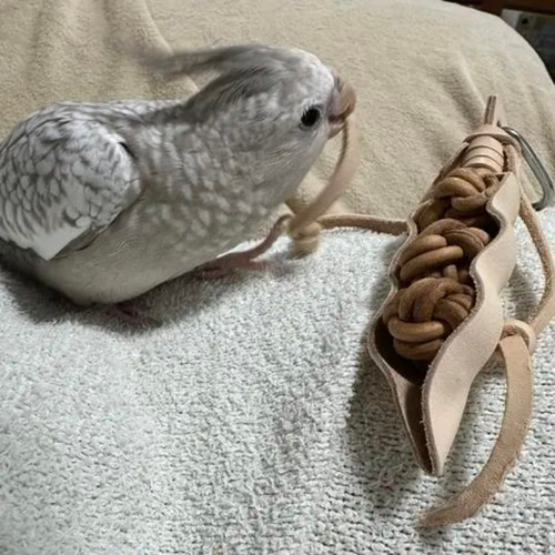 送料無料【ヨウムサイズの鳥さん向け】 本革❤️ ガシガシ系鳥