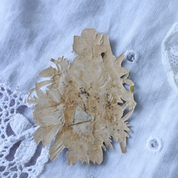 フランス アンティーク クロモス 花束と鳥 D114 3枚目の画像