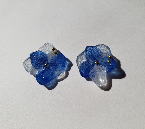 ||一粒ピアス/イヤリング||　本物の紫陽花ピアスorイヤリング　瑠璃色×水色 2枚目の画像