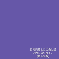 ||一粒ピアス/イヤリング||本物の紫陽花ピアスorイヤリング　パープル　藤色 4枚目の画像