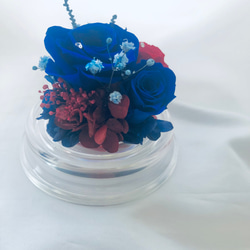 プリザーブドフラワー赤と青薔薇のミニドーム 6枚目の画像