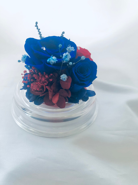 プリザーブドフラワー赤と青薔薇のミニドーム 6枚目の画像