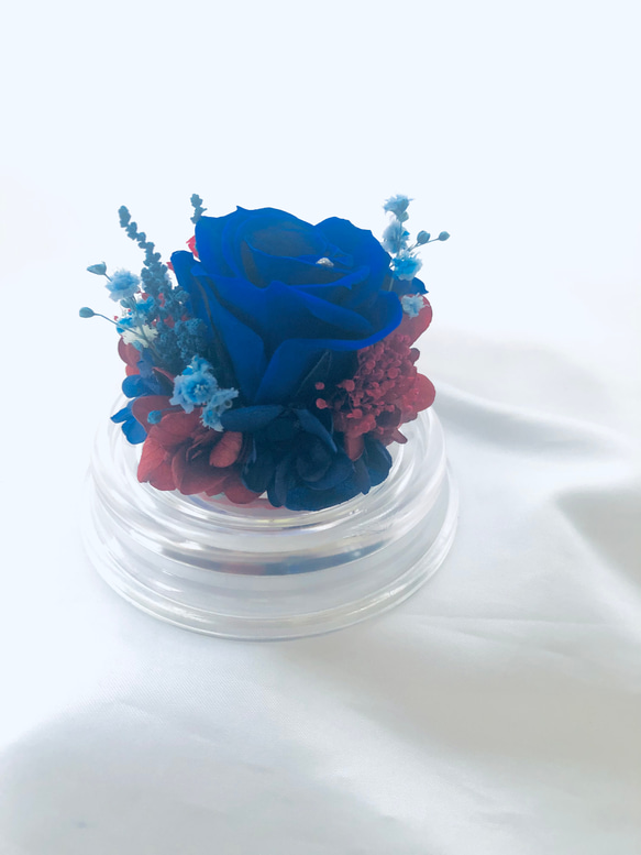 プリザーブドフラワー赤と青薔薇のミニドーム 8枚目の画像